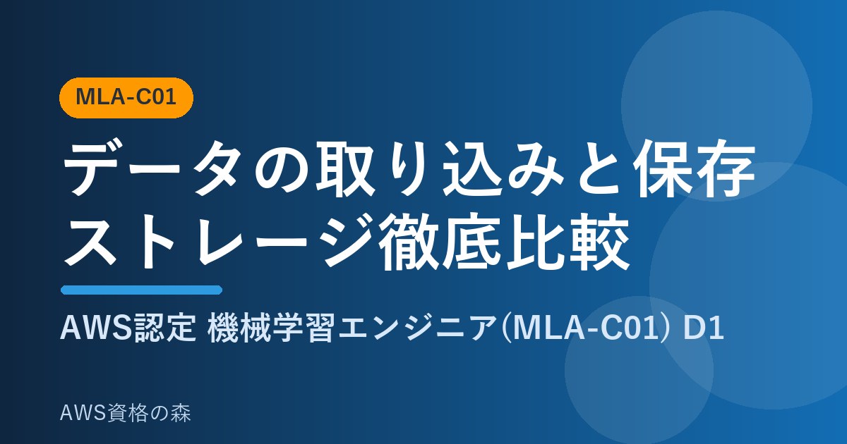 データの取り込みと保存 ストレージ徹底比較 MLA-C01 AWS資格の森